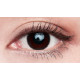 Lens++〈星環系列〉彩色日拋隱形眼鏡【10片裝】2盒 Lens++〈星環系列〉彩色日拋隱形眼鏡【10片裝】2盒